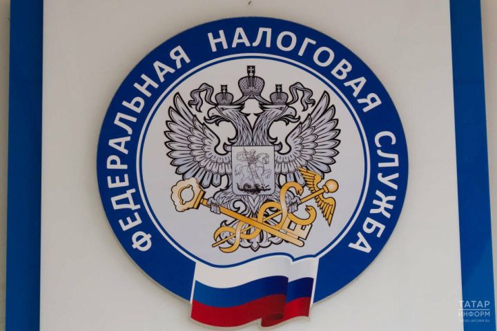 В ФНС предупредили о рисках фиктивного руководства компаниями