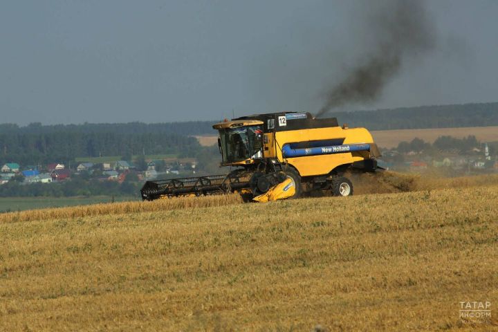 Яровой сев в Татарстане превысил 150 тыс. гектаров