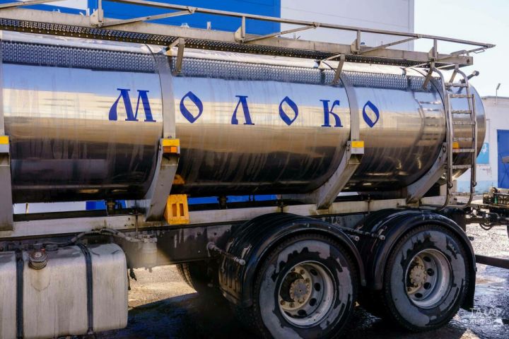 Татарстанның дүрт компаниясе Россиянең иң зур сөт җитештерүче компанияләре арасына керде
