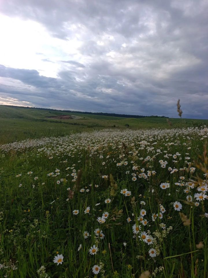 Татарстанда бүген яңгыр, яшен һәм томан көтелә