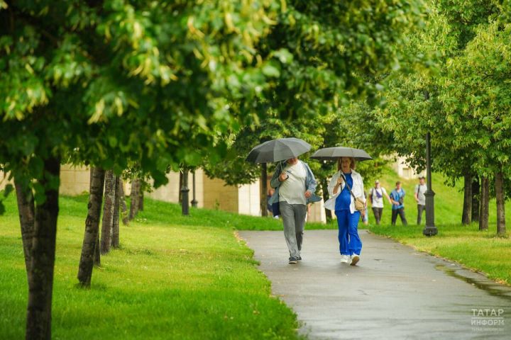 В Татарстане 24 августа ожидаются дожди, грозы и до 28 градусов тепла