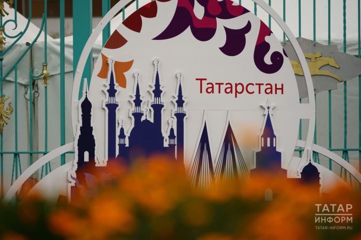 10 часов вечера судьбоносное решение — вышел новый выпуск проекта «История одного экспоната»